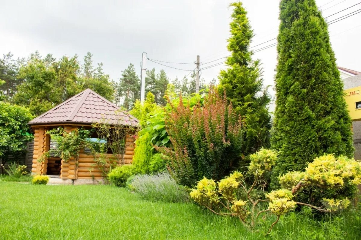https://neftekamsk.tgv-stroy.ru/storage/app/uploads/public/637/ef4/fb3/637ef4fb3605f391429275.png